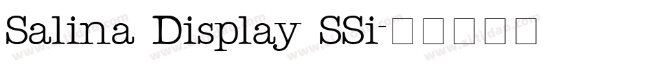 Salina Display SSi字体转换